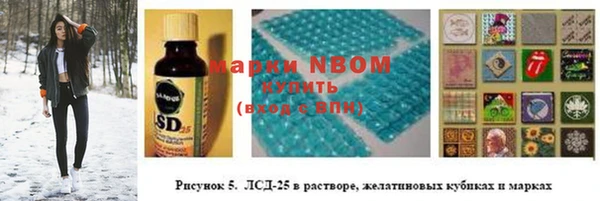 дживик Переславль-Залесский