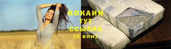сатива Пересвет